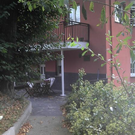 Apartamentos Los Balcones Tineo Exterior foto